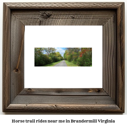 horse trail rides near me in Brandermill, Virginia